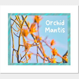 ORCHID MANTIS Posters and Art